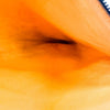 https://tbc-image-proxy.thebrandcollector.workers.dev/017060bd0b63737a?url=https://image.fapis.io/media/shop/goods-image/638aaaa1-47ab-43a7-9f19-72f4e59cf469_8.jpeg