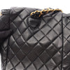 Chanel Medium Quilted Lambskin Duma Backpack Secondhand
