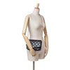 Secondhand Chanel Medium Quilted Lambskin CC Coin Flap