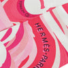 Hermès Brides de Gala Shadow Silk Twilly Scarf Secondhand