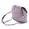 Secondhand Chanel Quilted Iridescent Calfskin Ground Control Flap Backpack
