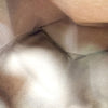 https://tbc-image-proxy.thebrandcollector.workers.dev/0ce194e94284231f?url=https://image.fapis.io/media/shop/goods-image/1daf8102-0eb6-4ce9-8ad7-562e18b3dc34_11.jpeg
