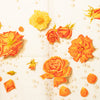 Hermès La Rosee Silk Scarf 90 Secondhand