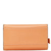 Céline handbag