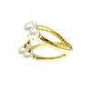Tasaki ring
