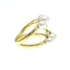 Tasaki ring