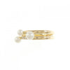 Tasaki ring