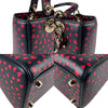 Dior handbag