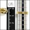 Chaumet ring