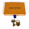 Louis Vuitton earring