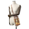 Louis Vuitton shoulder