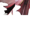 Cartier shoulder