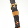 Louis Vuitton shoulder