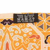 Hermès scarf