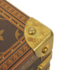 Louis Vuitton clutch