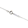Tiffany & Co necklace