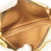 Louis Vuitton clutch