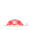 Louis Vuitton shoulder