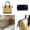 Louis Vuitton handbag