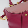 Miu Miu handbag