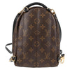 Secondhand Louis Vuitton Palm Springs mini