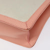 Balenciaga clutch
