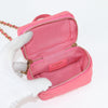 Chanel clutch