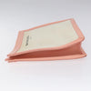Balenciaga clutch