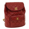 Secondhand Chanel Duma Red Leather Bag