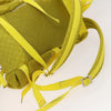 Bottega Veneta backpack