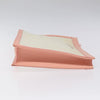 Balenciaga clutch