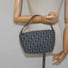 Dior handbag