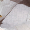 Louis Vuitton shoulder