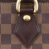 Louis Vuitton Damier Ebene Saleya PM Secondhand