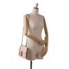 Dior Cannage Dioraddict Crossbody Secondhand