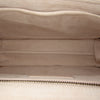 Dior Cannage Dioraddict Crossbody Secondhand