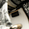 Dior Mini Embroidered Canvas Plan de Paris Lady D Lite Secondhand