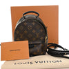 Louis Vuitton Monogram Mini Palm Springs Secondhand