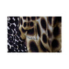 Secondhand Roberto Cavalli Animal Print Long Dress - '00s