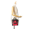 Celine Nano Tricolor Nubuck and Calfskin Luggage Tote Secondhand