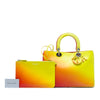 Dior Medium Gradient Calfskin Diorissimo Satchel Secondhand