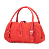 LOEWE Nubuck Senda Handbag Secondhand