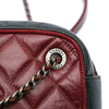 Chanel Small Bicolor Quilted Calfskin Ballerine Camera Bag Secondhand