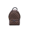 Louis Vuitton Monogram Palm Springs PM Secondhand