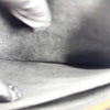 https://tbc-image-proxy.thebrandcollector.workers.dev/555af6947a93e54b?url=https://image.fapis.io/media/shop/goods-image/17a086bc-79d5-4706-a583-3d785f86c2ac_11.jpeg