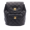 Chanel Medium Quilted Lambskin Duma Backpack Secondhand