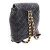 Chanel Medium Quilted Lambskin Duma Backpack Secondhand