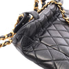 Chanel Medium Quilted Lambskin Duma Backpack Secondhand