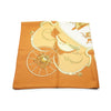 Hermes Springs Ledoux Silk Carre 90 secondhand