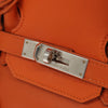 Hermes Birkin Handbag Orange Togo with Palladium Hardware